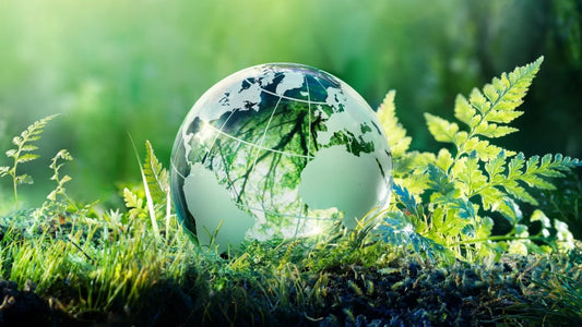 El problema de los ambientadores químicos: Cómo afectan a tu salud y al planeta